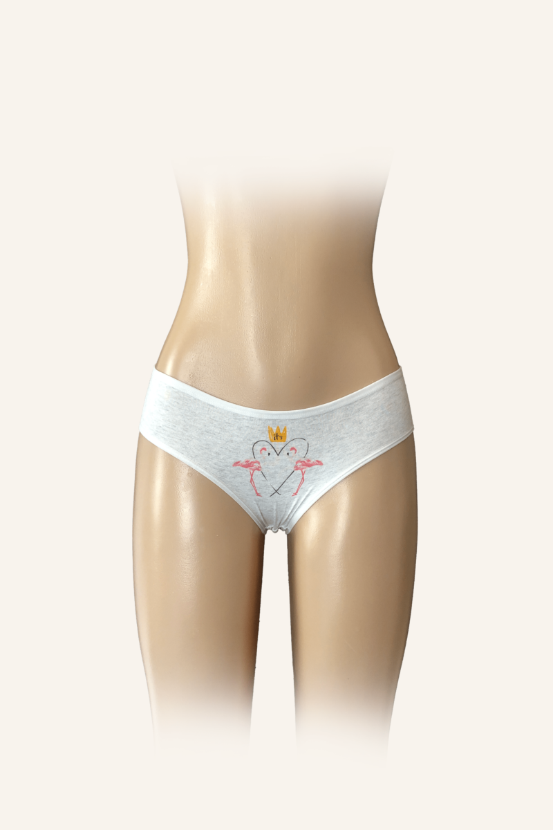 Grey Flamingo Print Briefs