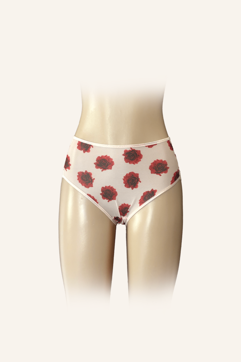 Floral Mesh Bikini Briefs with Romantic Rose Print