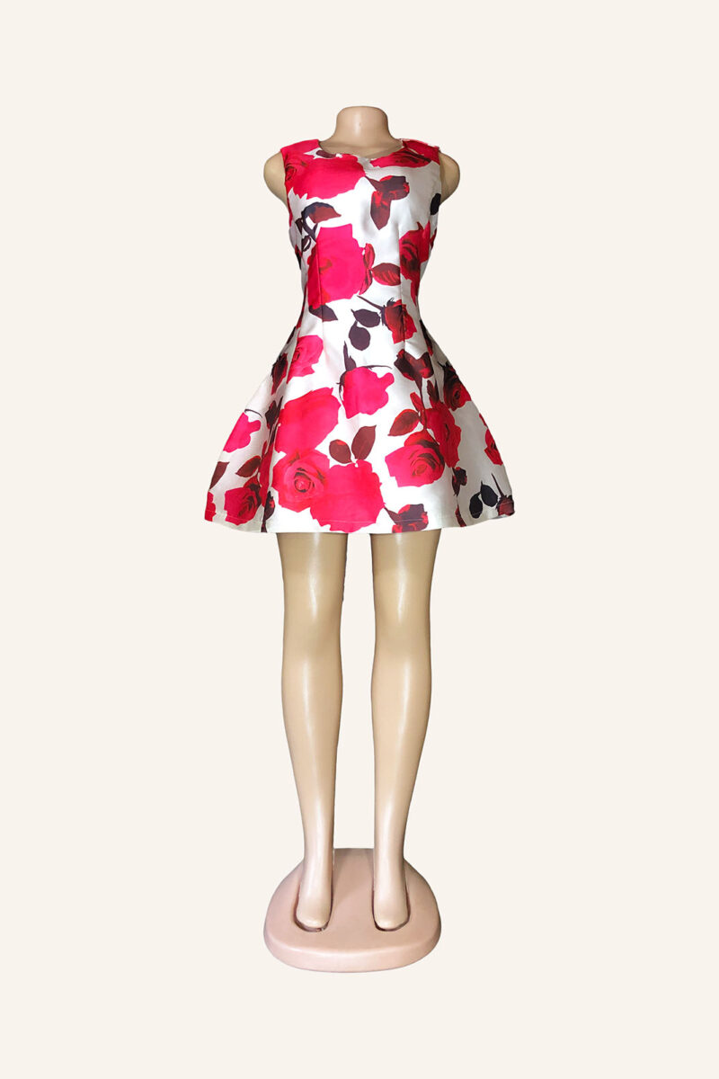 AX Paris Romantic Rose Skater Dress