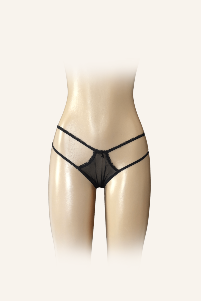 Sheer Black Mesh Bikini Panty with Lace Trim