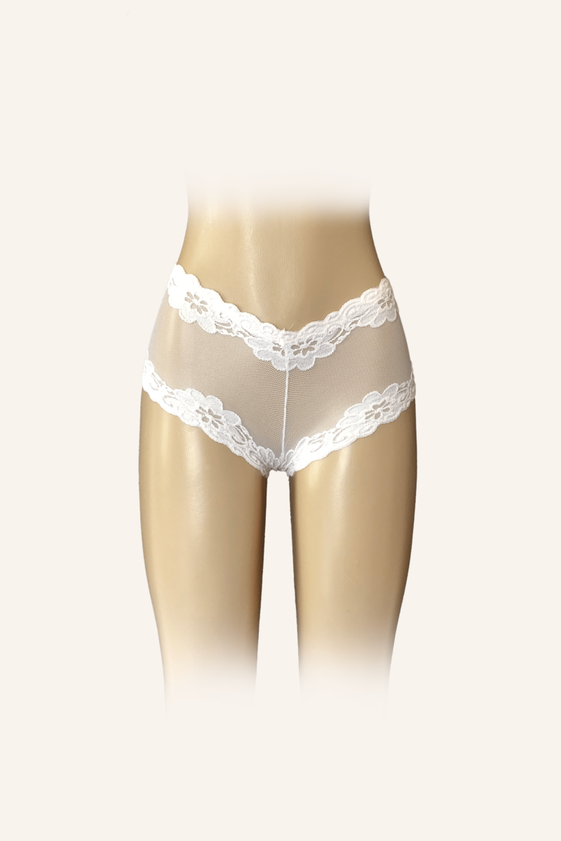 Lace Floral Sheer High-Waist Boyshorts