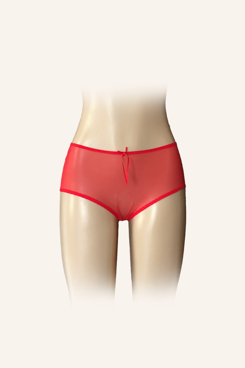 Sheer Satin High-Waisted Panty with Bow