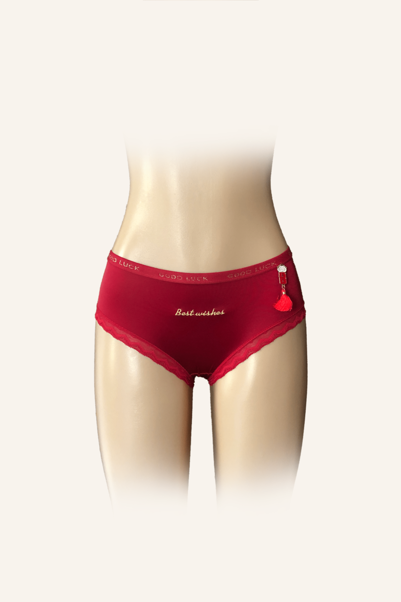 Festive Red High-Waist Briefs with Embroidery